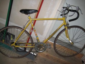 carl-yellow-columbia-04-500x375