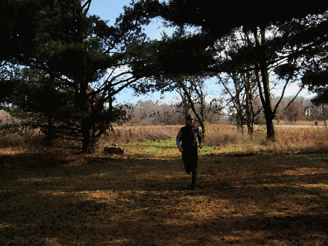 You know the feeling. The temperature is right. The day is bright. Just cruising through a forest preserve with your own thoughts. 