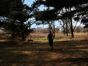 Running and riding can be great recovery from stress.