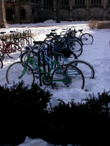 A rack of bikes at University of Chicago awaits return of their riders. Someday. 