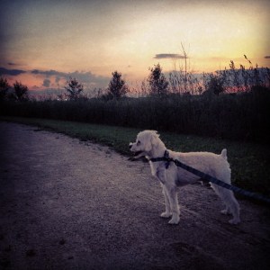 5362_10151621036542092_962342200_n