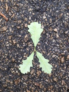 Some aspect of running and riding has offered balance all these years.