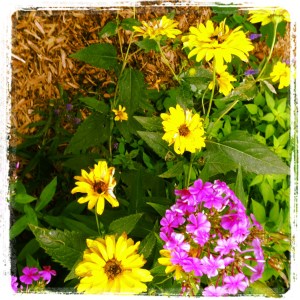 Every bloom has significance. 