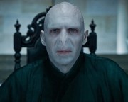 lord-voldemort-hp7-chair-1280x1024