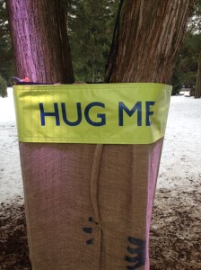 Do we have to be so literal to appreciate a tree? 