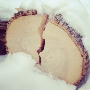 Even moral people split over the challenges of life and sin.