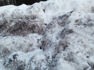Snowbank