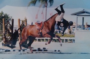 Clearly Cid Carver was head over heels about show jumping