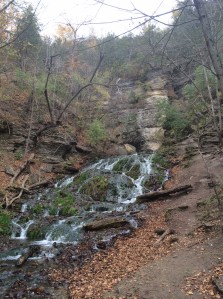 The eternal flow of water emerging from deep within the hills at Dunning's Springs in Decorah, Iowa. 