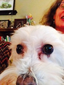 An always curious character. 