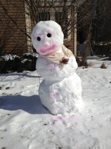 Support the Frosty Marathon with your contributions and help this hot mess snowperson get back on the right track. 