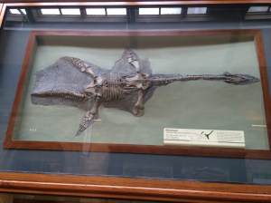 A fossil from a different, much less silly age. 