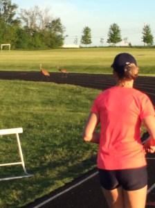 Sandhills Saying Hey