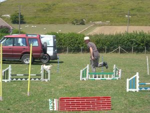 human_agility_by_loobyloukitty