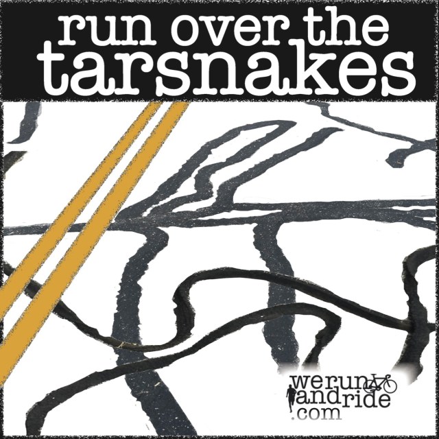 Runoverthetarsnakes2