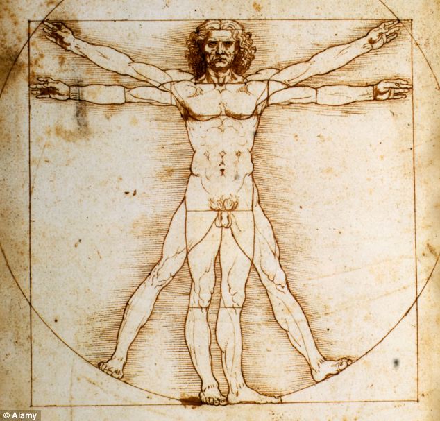 Da vinci ideal man