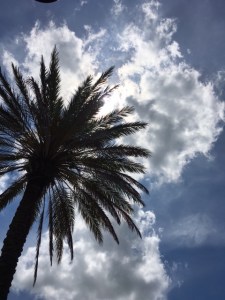 Florida Sky