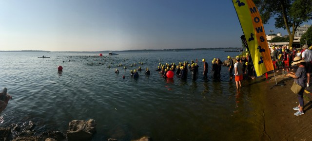 Sue's Mows composition