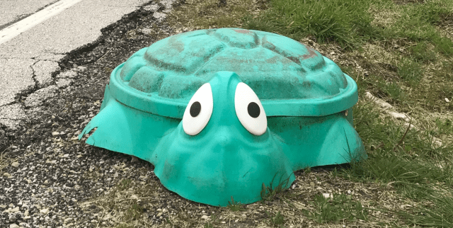 Plastic Turtle.png