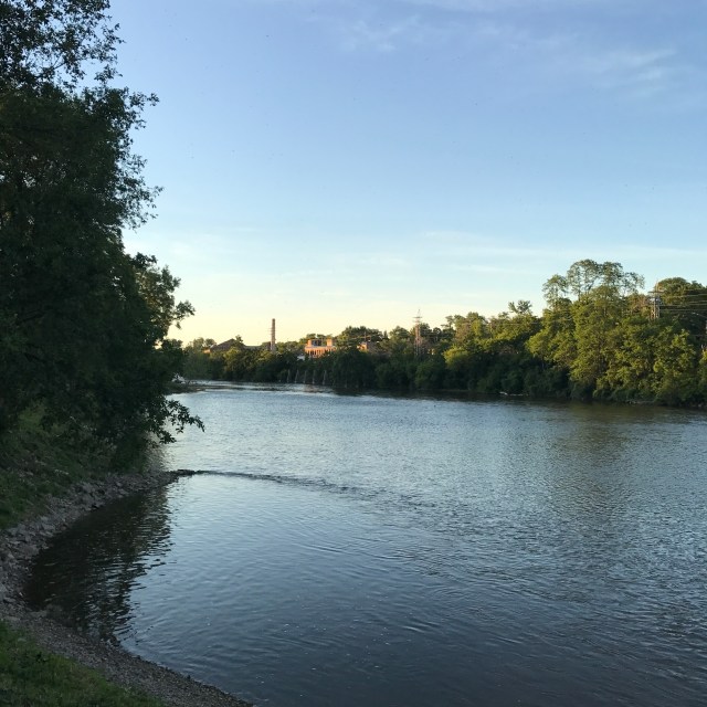 City Photos River North View.jpg