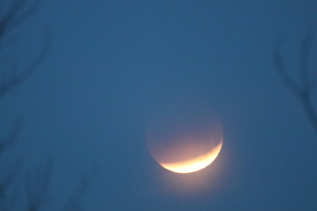 Moon Eclipse One.jpg