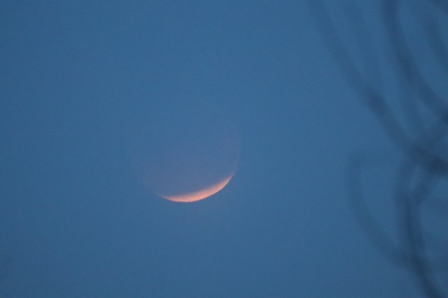 Moon Eclipse Three.jpg