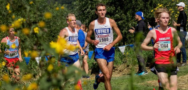 Luther men's cc